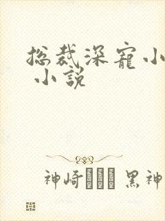 总裁深宠小甜妻 小说