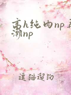 高h纯肉np弄潮np