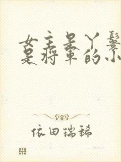 女主是丫鬟男主是将军的小说