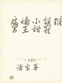 病娇小说推荐双男主甜宠