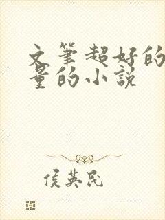 文笔超好的高质量的小说