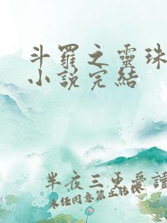 斗罗之灵珠神剑小说完结