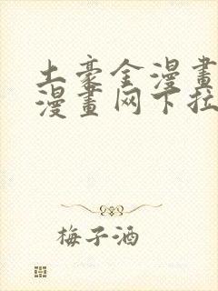 土豪金漫画免费漫画网下拉式