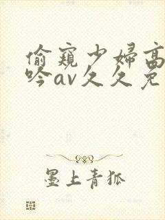 偷窥少妇高潮呻吟av久久免费