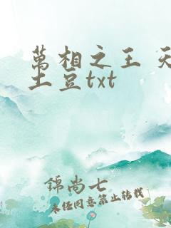 万相之王 天蚕土豆txt