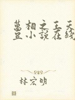 万相之王天蚕土豆小说在线阅读