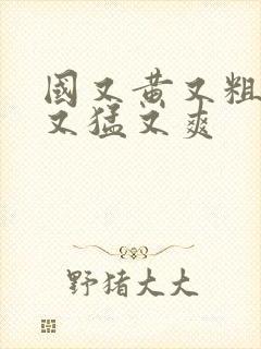 国又黄又粗又羞又猛又爽