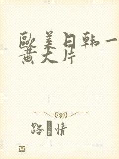 欧美日韩一级特黄大片