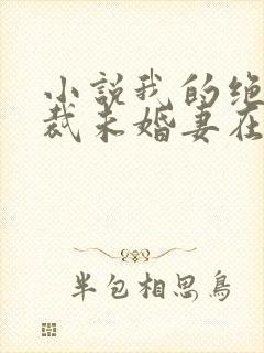 小说我的绝色总裁未婚妻在线阅读