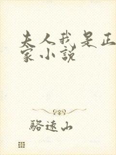 夫人我是正经人家小说