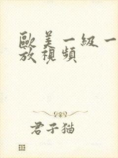 欧美一级一片播放视频