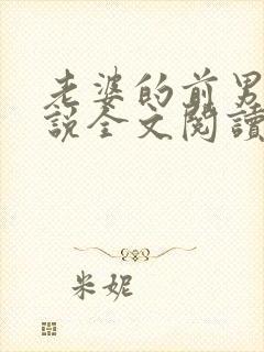 老婆的前男友小说全文阅读