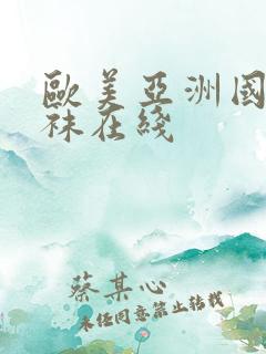 欧美亚洲国产丝袜在线