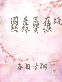 国产区在线播放丝袜资源