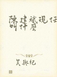 陈建斌现任老婆叫什么