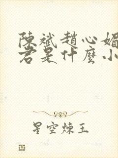 陈斌赵心媚高婉君是什么小说