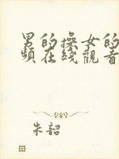 男的操女的的视频在线观看