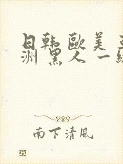 日韩 欧美 亚洲 黑人 一级