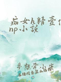 痴女h精壶便器np小说