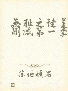 无耻之徒美版无删减第一季