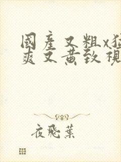 国产又粗x猛又爽又黄致视频