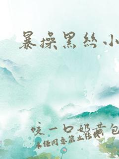 暴操黑丝小姐