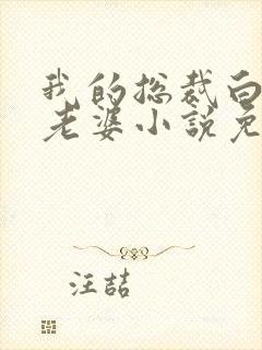 我的总裁白富美老婆小说免费读