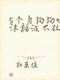 5个月狗狗吐白沫黏液不拉稀