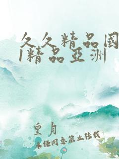 久久精品国产91精品亚洲