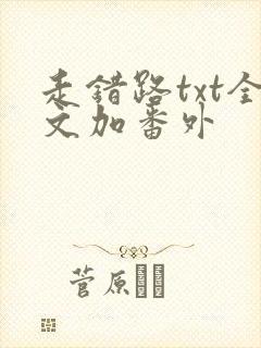 走错路txt全文加番外