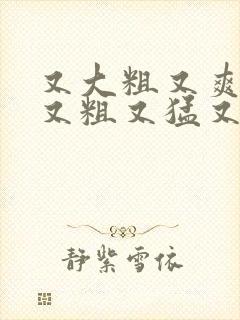 又大粗又爽国产又粗又猛又,爽又黄的视频