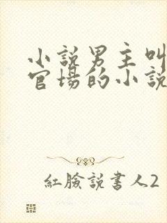 小说男主叫陈泽官场的小说