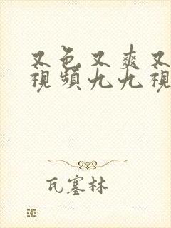 又色又爽又黄的视频九九视频