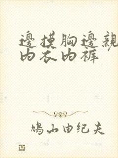 边摸胸边亲边解内衣内裤