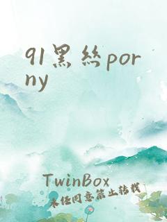 91黑丝porny