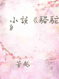 小说《骆驼祥子》