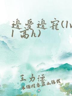 边爱边宠(1v1 高h)