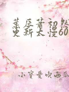 叶辰萧初然刚刚更新太慢600集