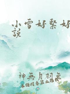 小雪好紧好湿小说