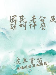 国民老公原著小说叫什么