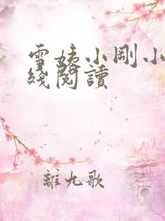 雪姨小刚小说在线阅读