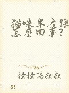 猫咪半夜踩奶是怎么回事?