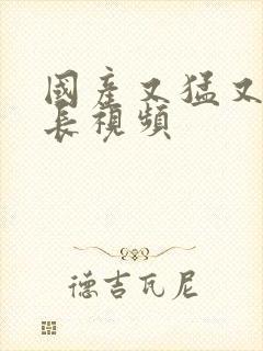 国产又猛又粗又长视频