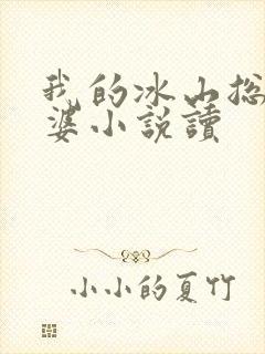 我的冰山总裁老婆小说读