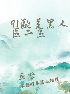 91欧美黑人一区二区