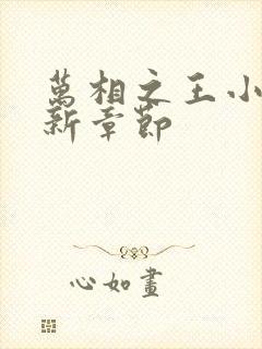 万相之王小说最新章节