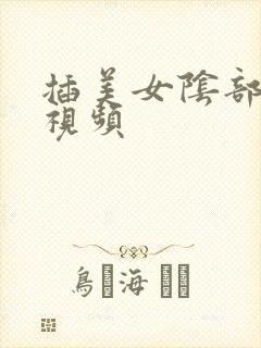 插美女阴部动态视频