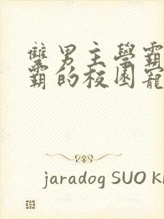 双男主学霸×校霸的校园宠文