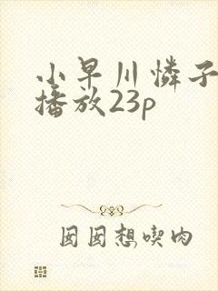 小早川怜子在线播放23p