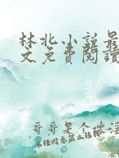 林北小说最新全文免费阅读